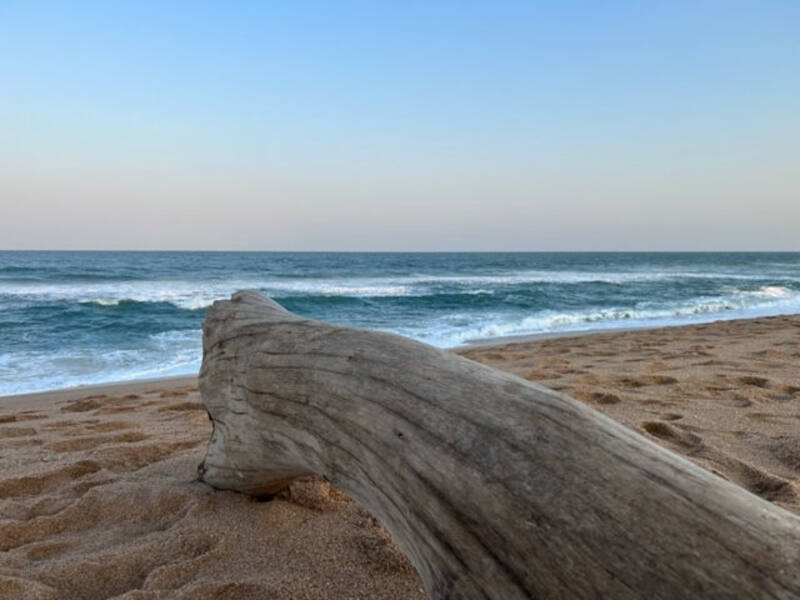 Surf Report Zululand, South Africa